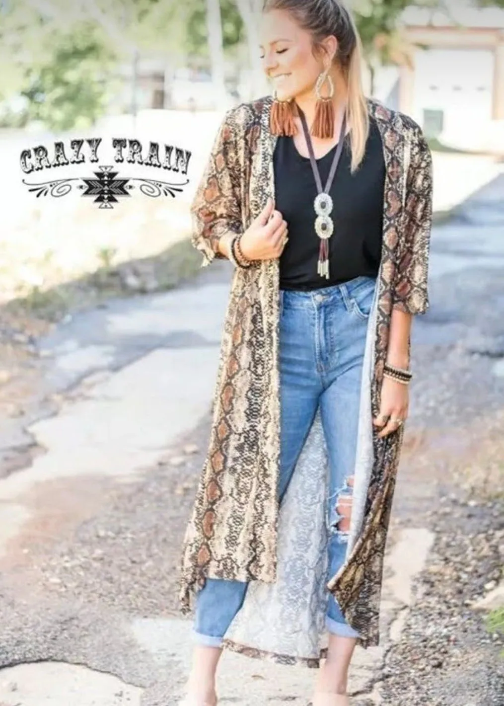 Crazy Train Python Print Duster