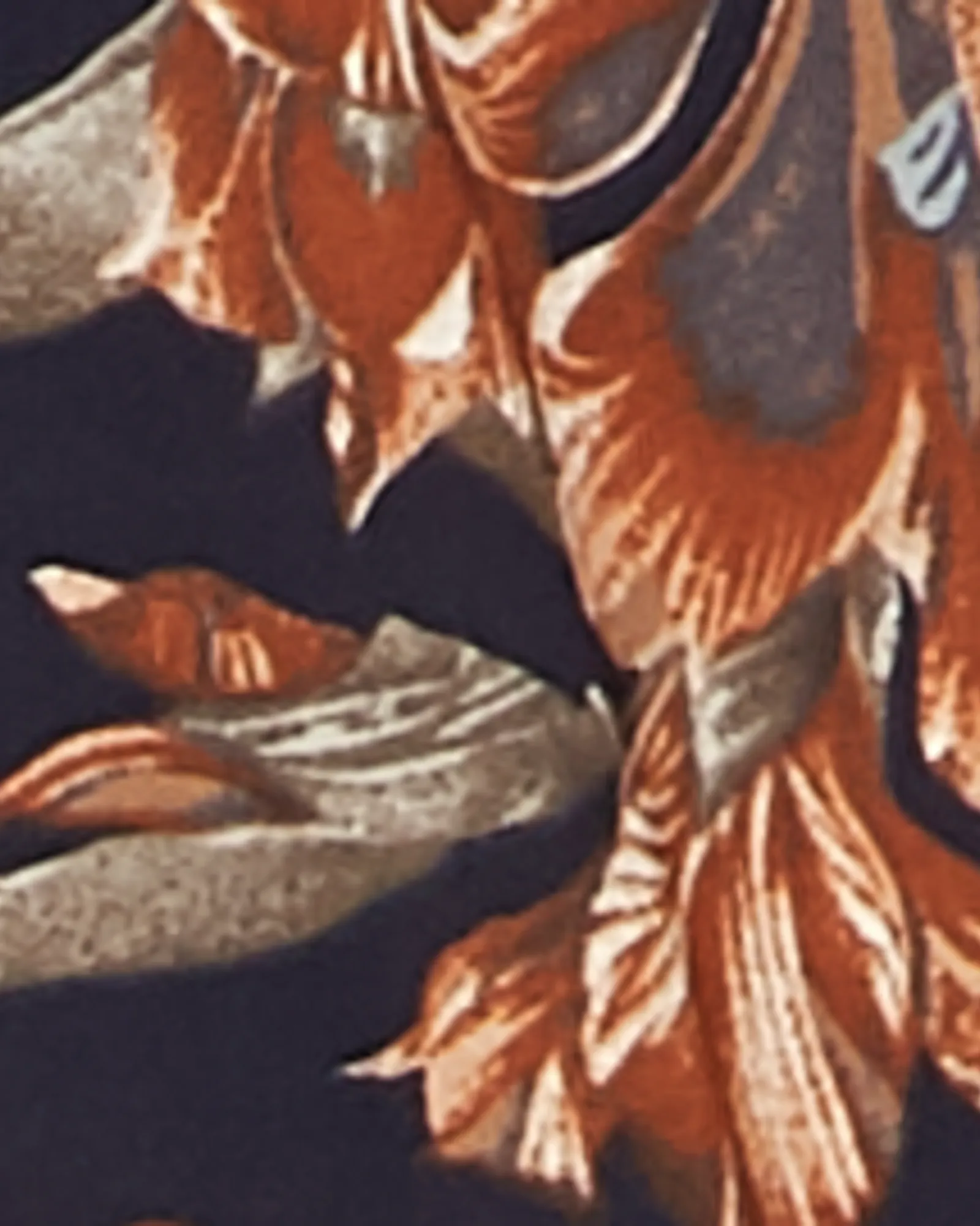 Macie Short Sleeve Kimono | Navy / Orange