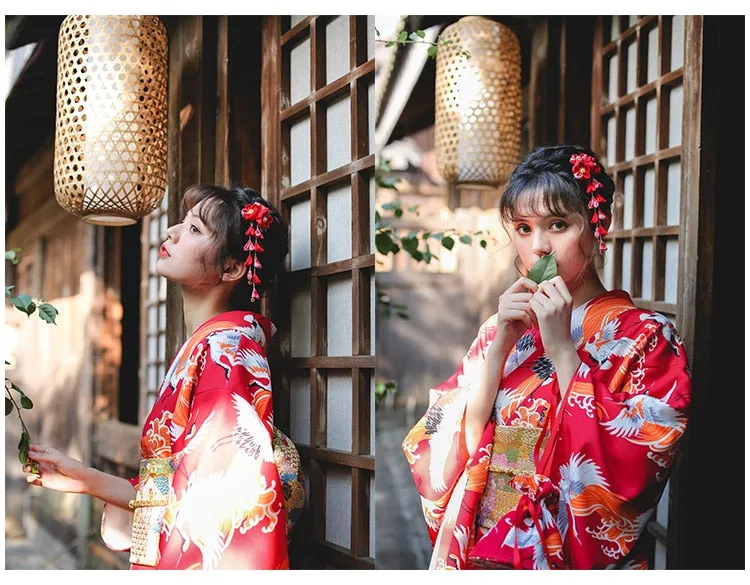 Traditional Kimono Partywear