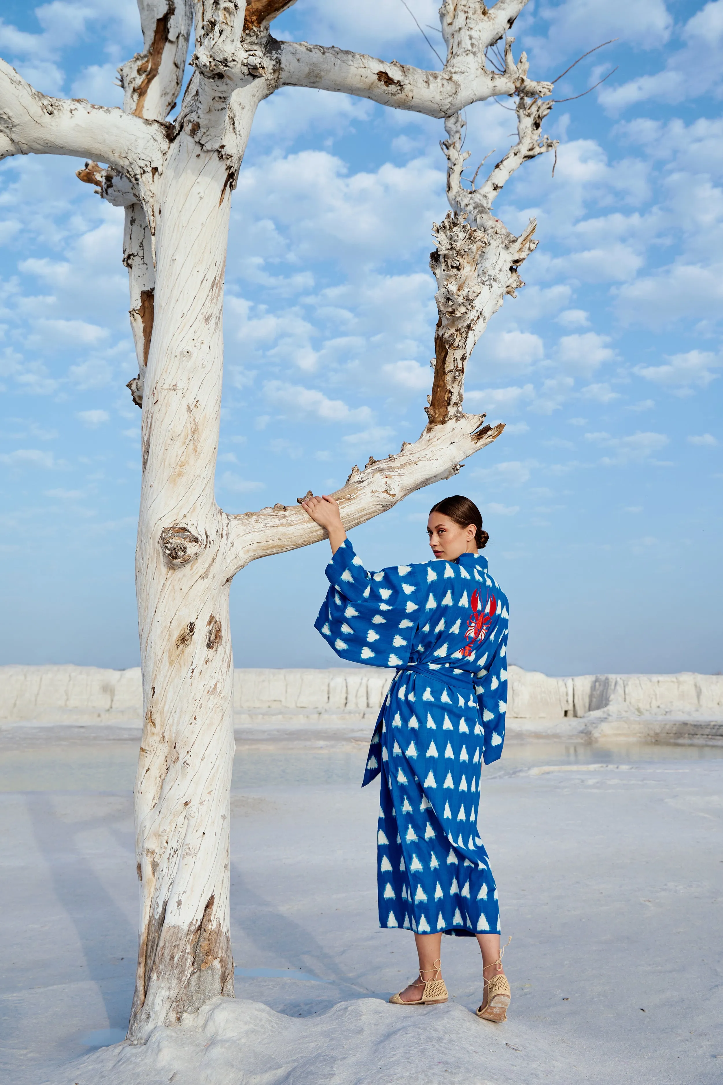Turquoise Savannah Kimono