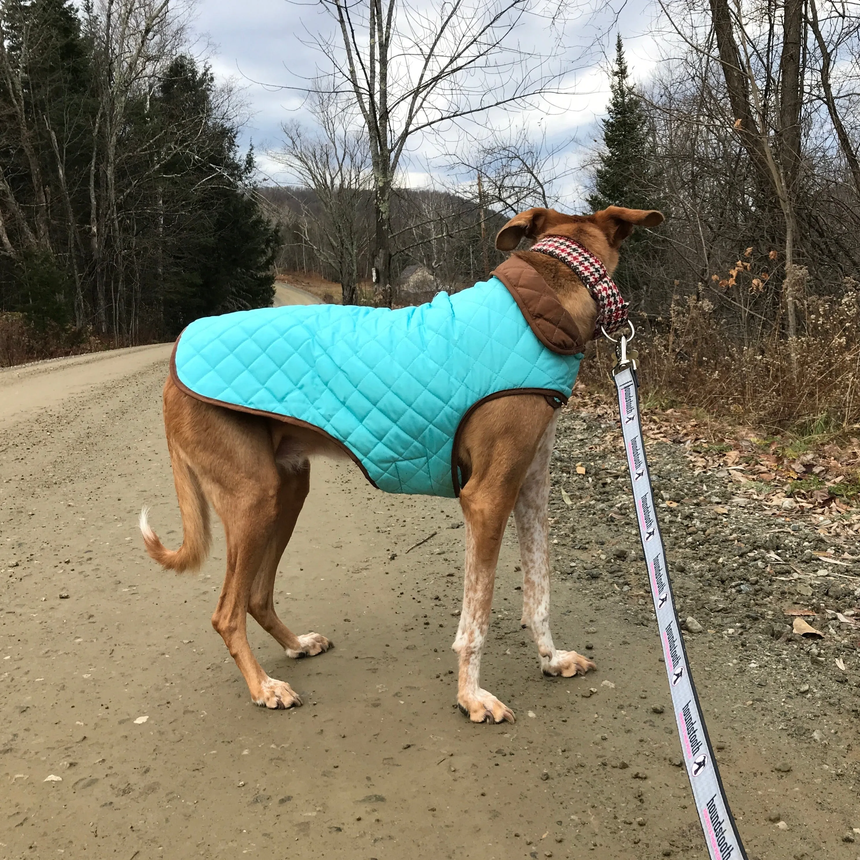 Up Country Aqua/Brown Diamond Quilted Coat